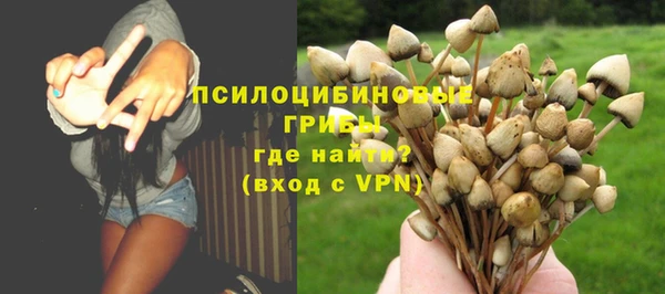 метадон Арсеньев