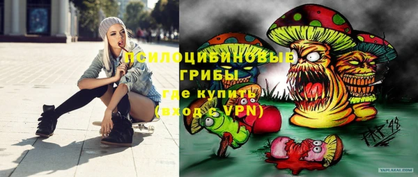 метадон Арсеньев