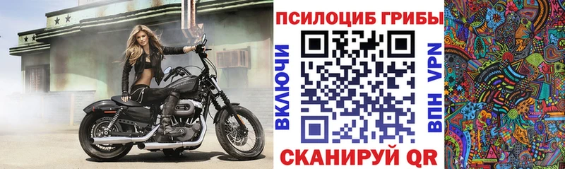 Псилоцибиновые грибы мухоморы Макарьев