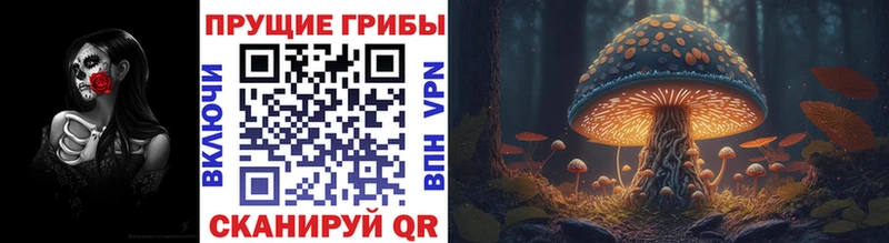 Галлюциногенные грибы Cubensis  дарк нет телеграм  Макарьев 